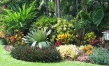 Landscaping Solutions Horticulturist
